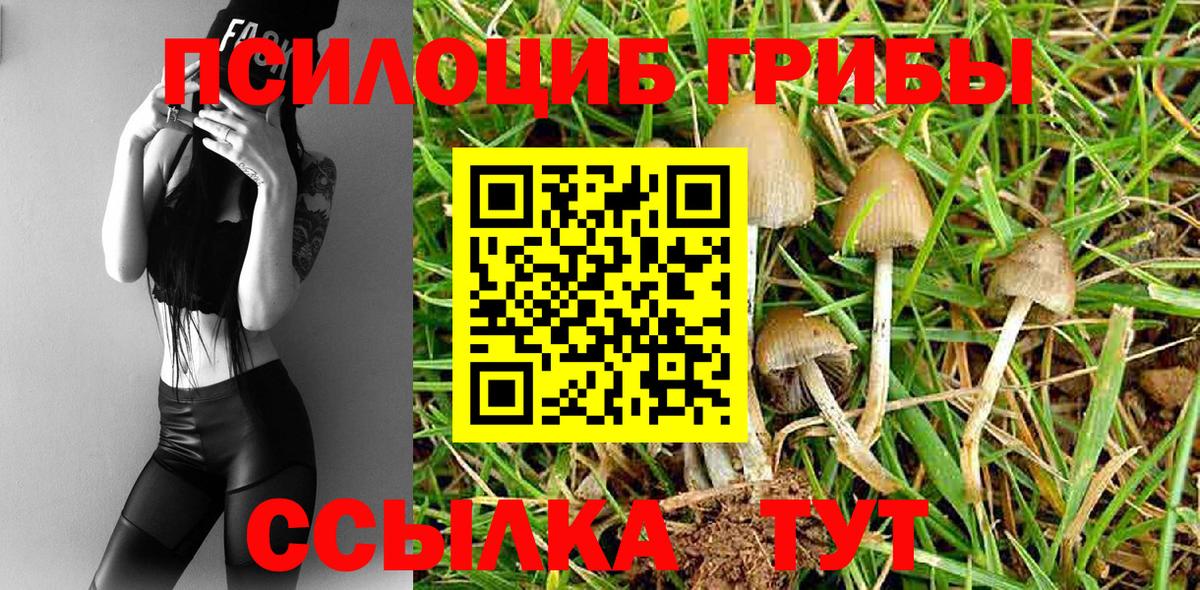 Галлюциногенные грибы Cubensis  Вход с VPN  Шахты  Галлюциногенные грибы GOLDEN TEACHER 