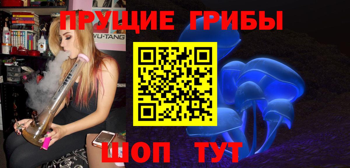 Псилоцибиновые грибы мицелий Шахты